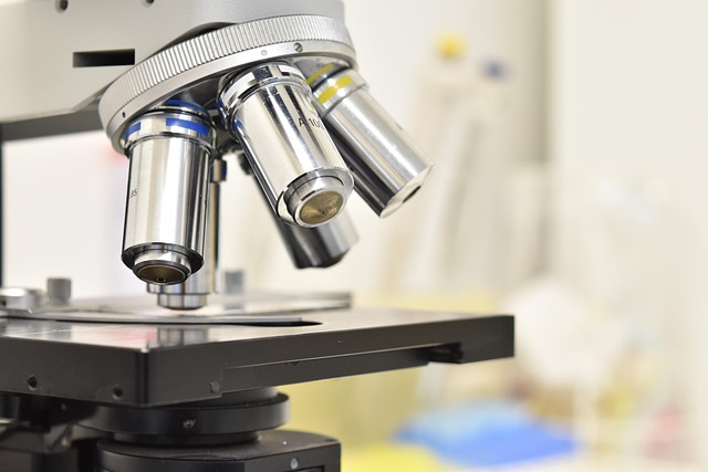 硅pu厚涂快干劑在防水涂料和粘合劑中的應(yīng)用探索，旨在提供快速固化和優(yōu)異的粘接性能。