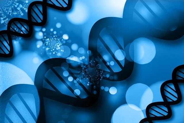 高效聚氨酯硬泡催化劑，確保泡沫快速固化，具有高閉孔率和優(yōu)異的保溫性能